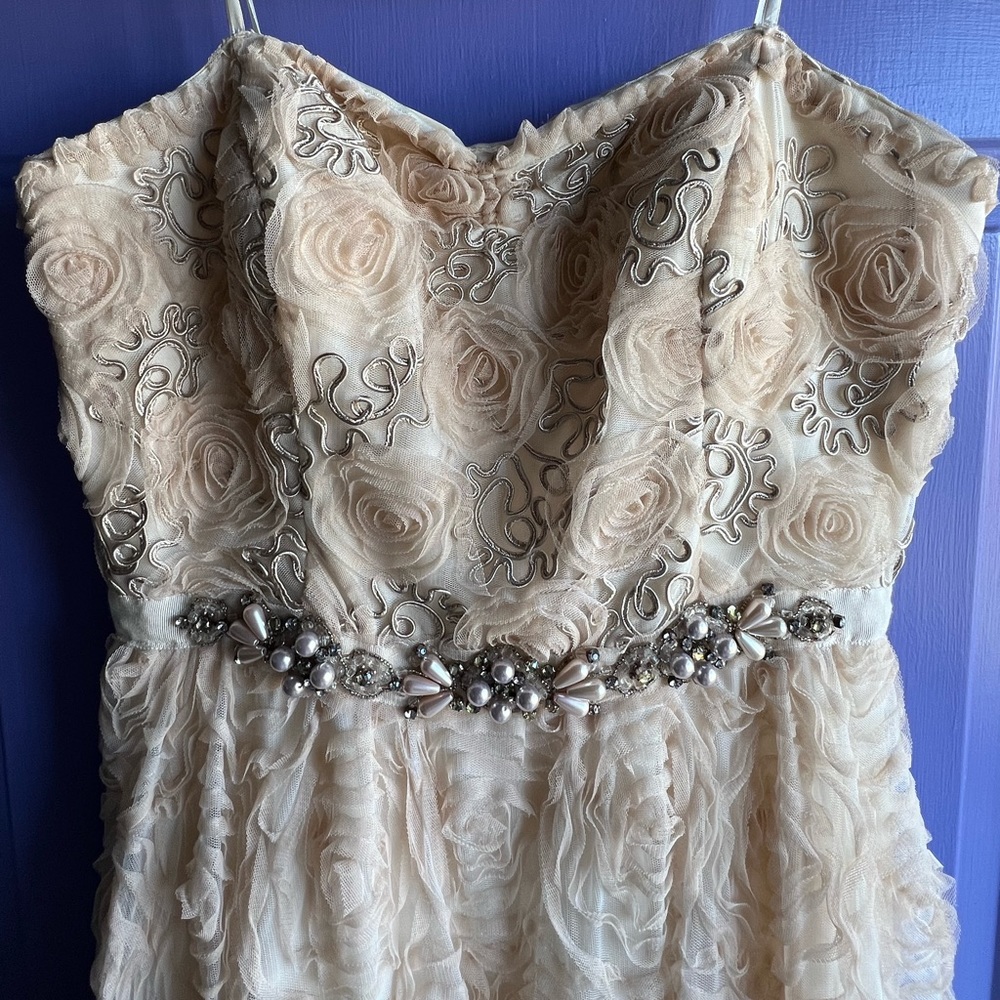 Adrianna Papell strapless gown
